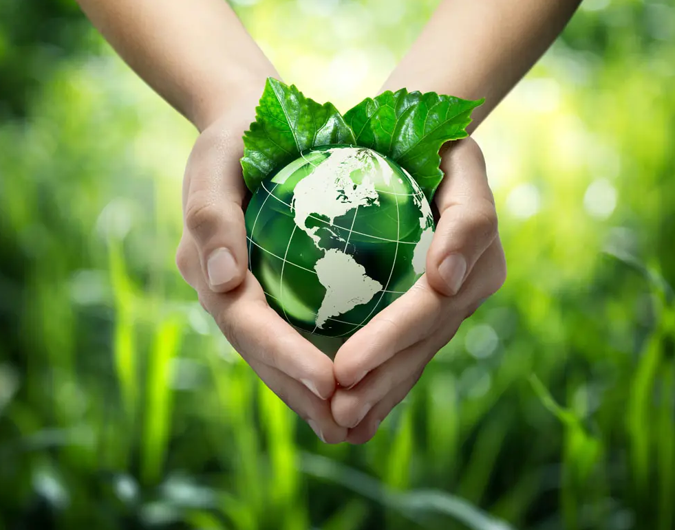 关于绿色印刷，这些你都知道吗？